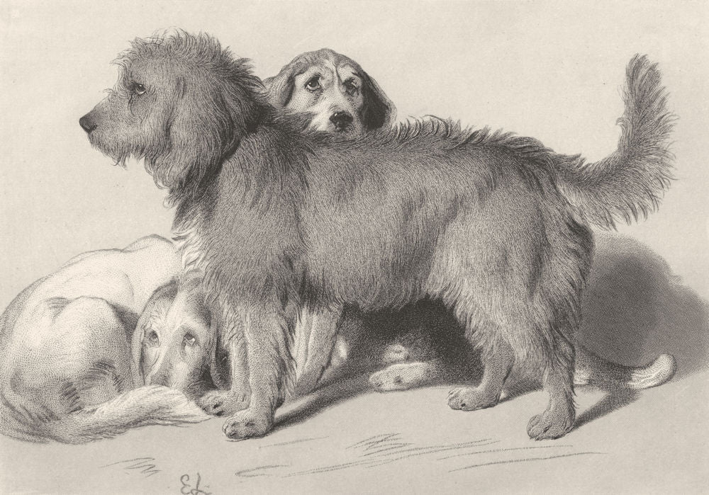 DOGS. The three dogs-Landseer c1880 old antique vintage print picture